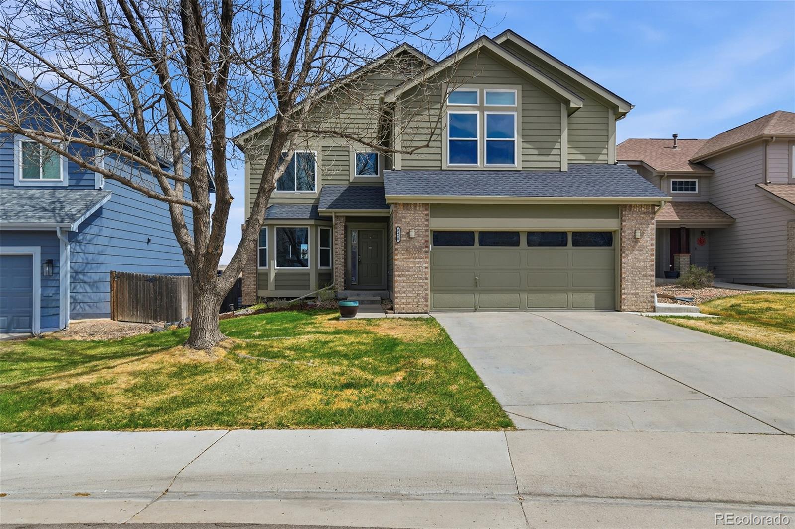 8428 Blackgum Street