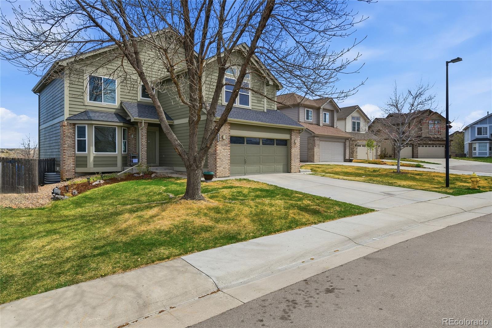 8428 Blackgum Street