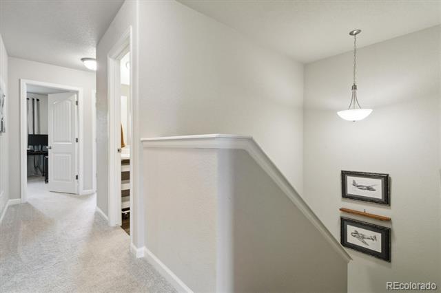 6225 White Wolf Point