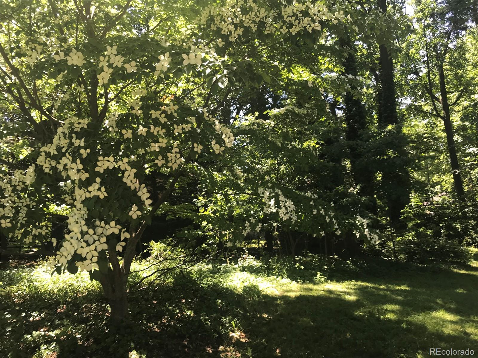 9058 Mountain Laurel Way