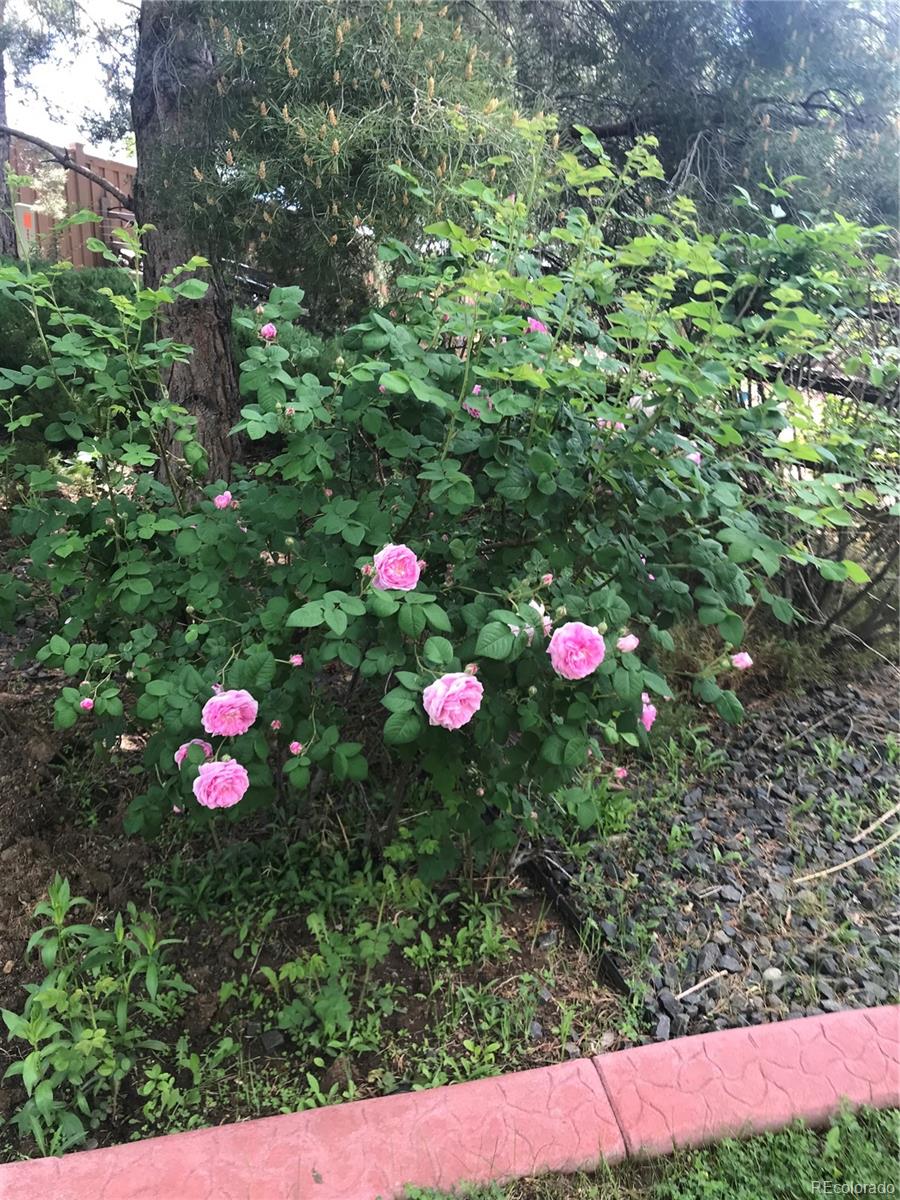 9058 Mountain Laurel Way