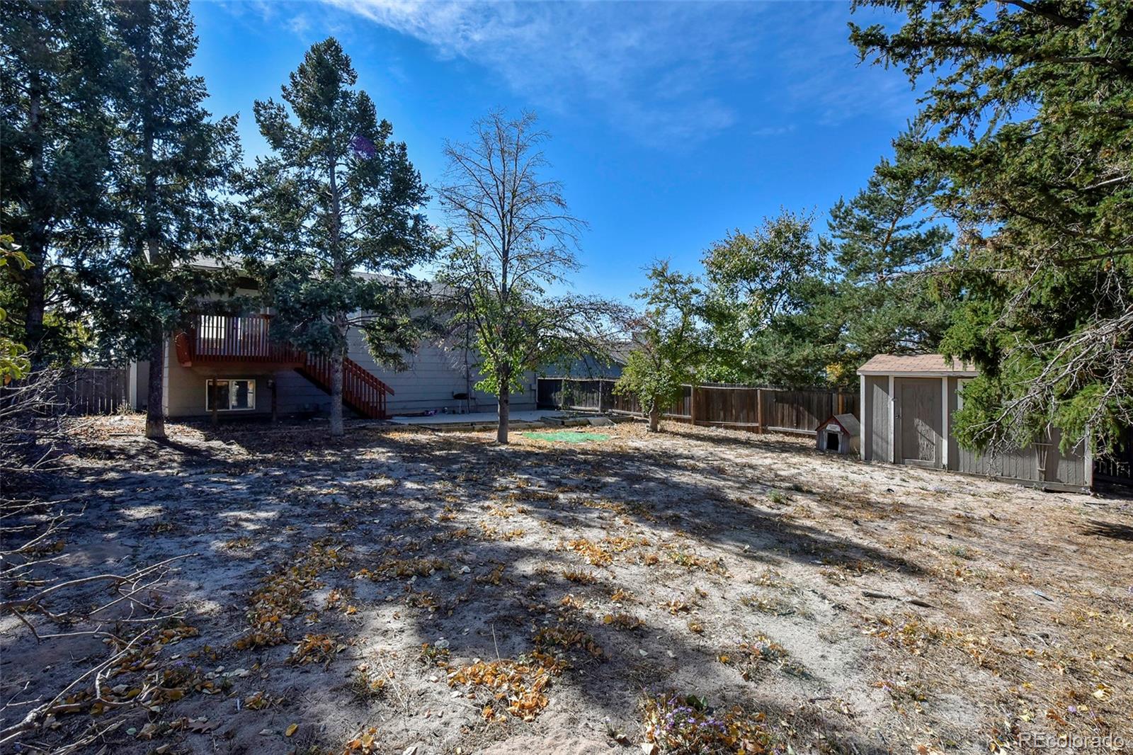 4255 Scotch Pine Drive