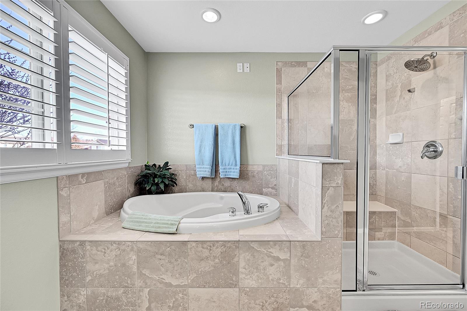 514 Coyote Willow Drive