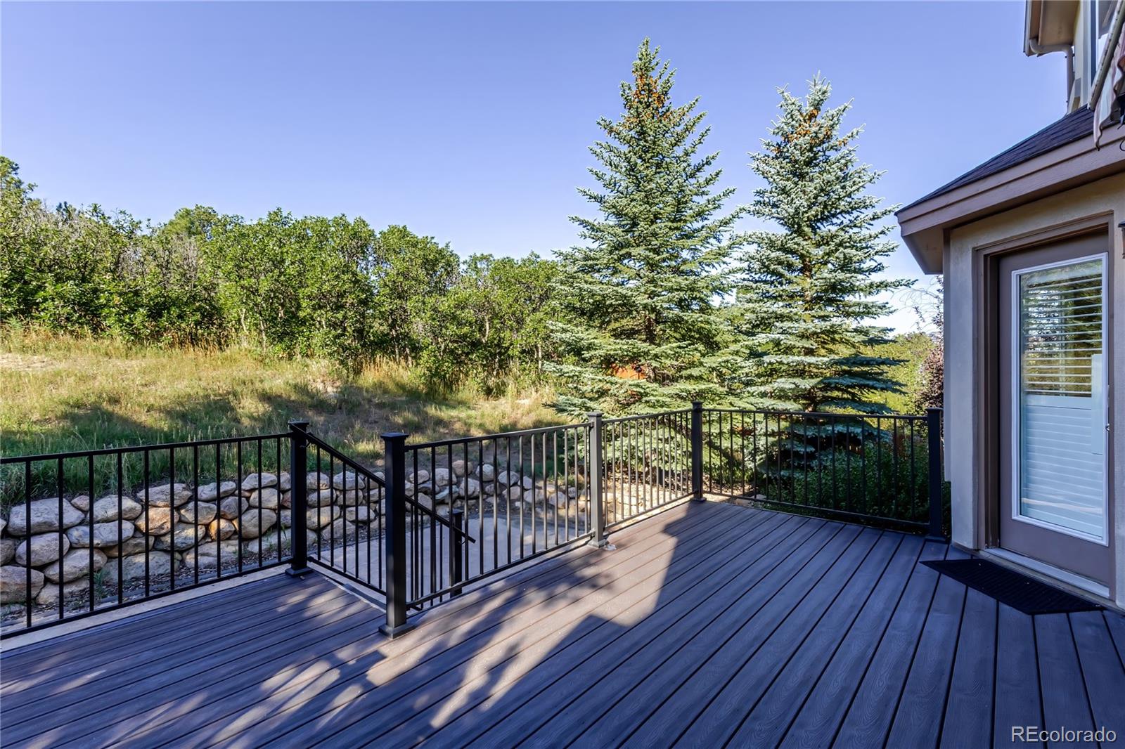 514 Coyote Willow Drive