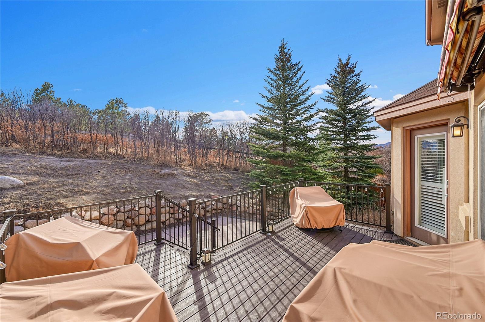 514 Coyote Willow Drive