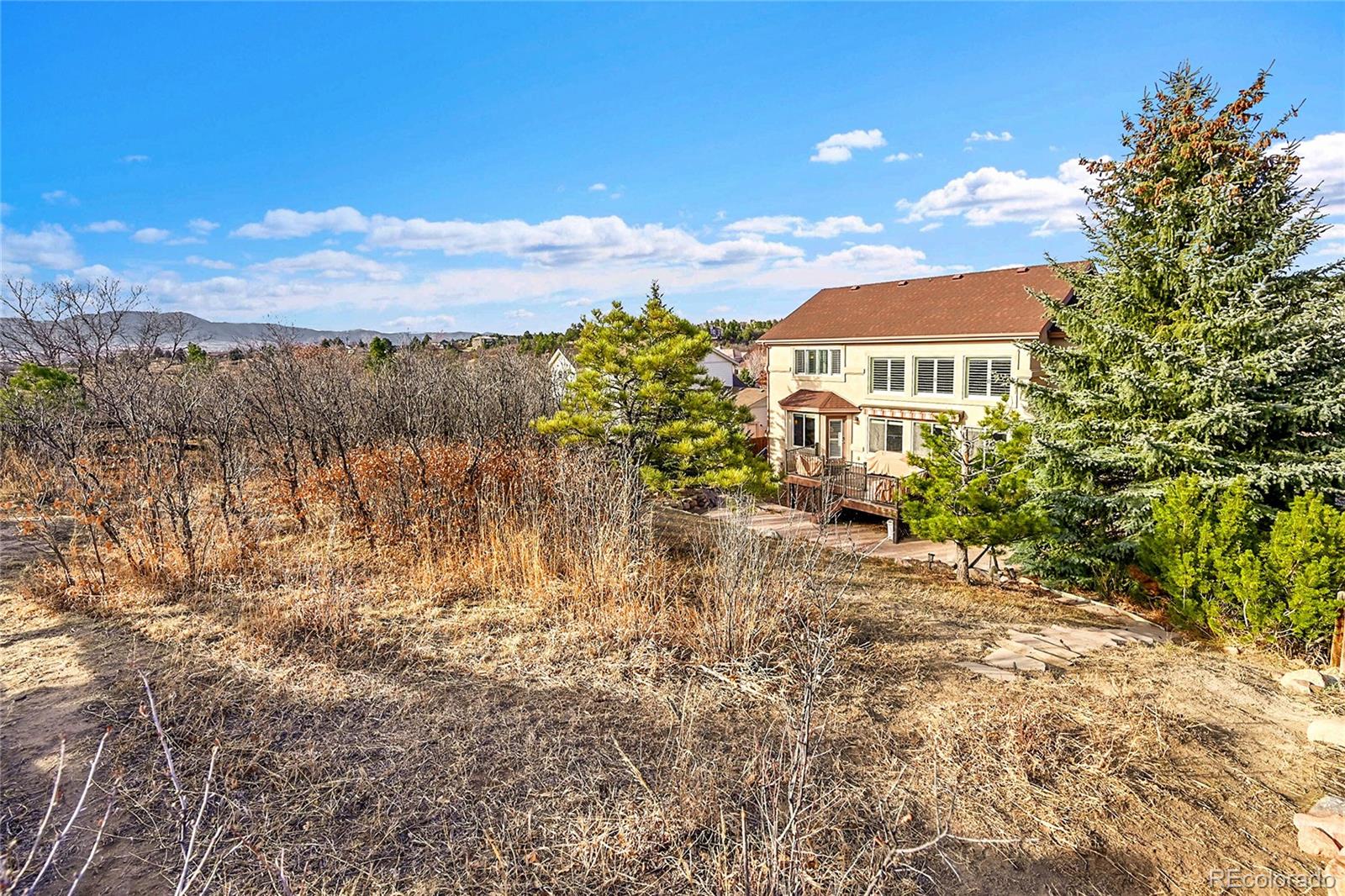 514 Coyote Willow Drive