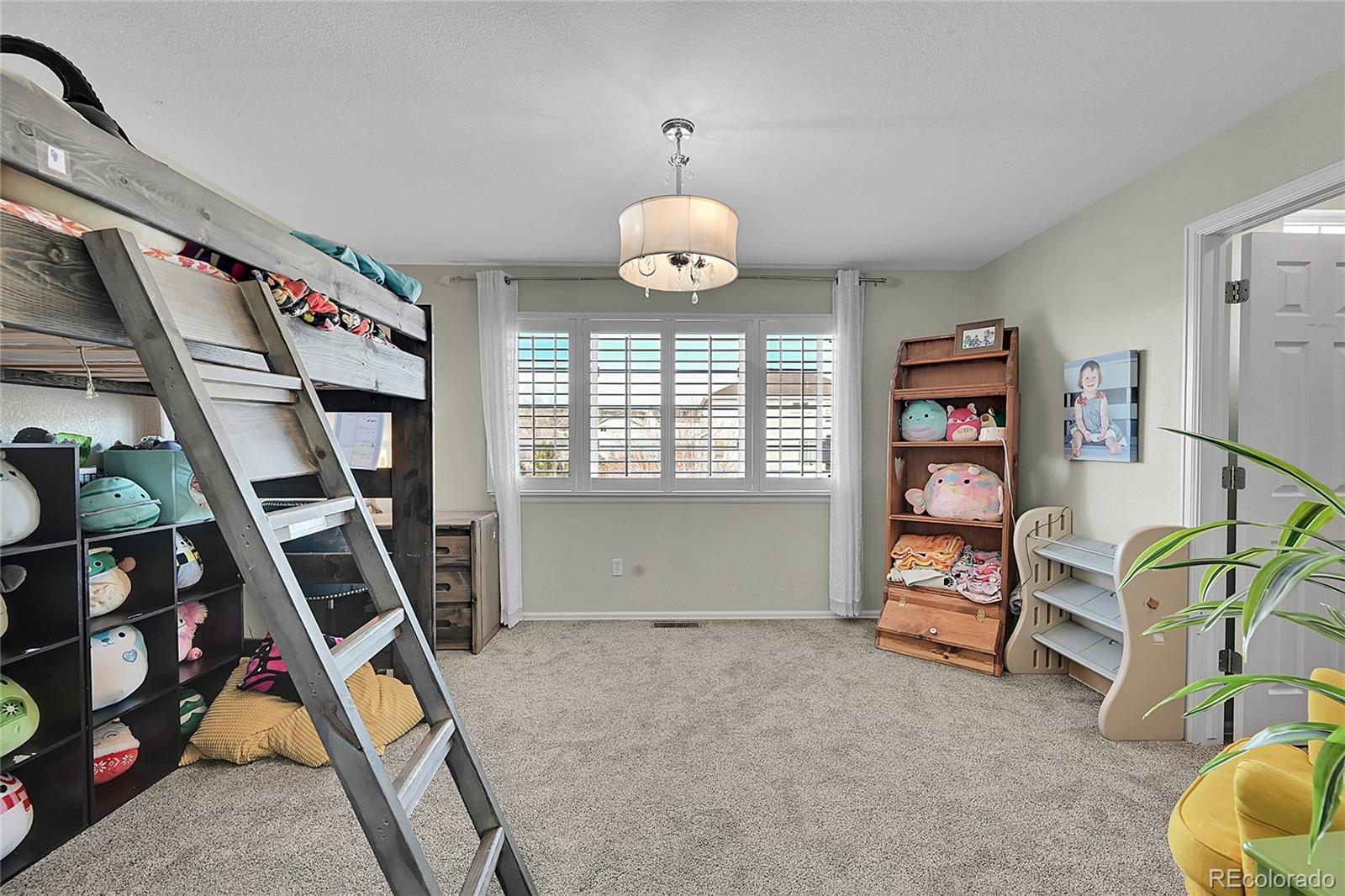 514 Coyote Willow Drive