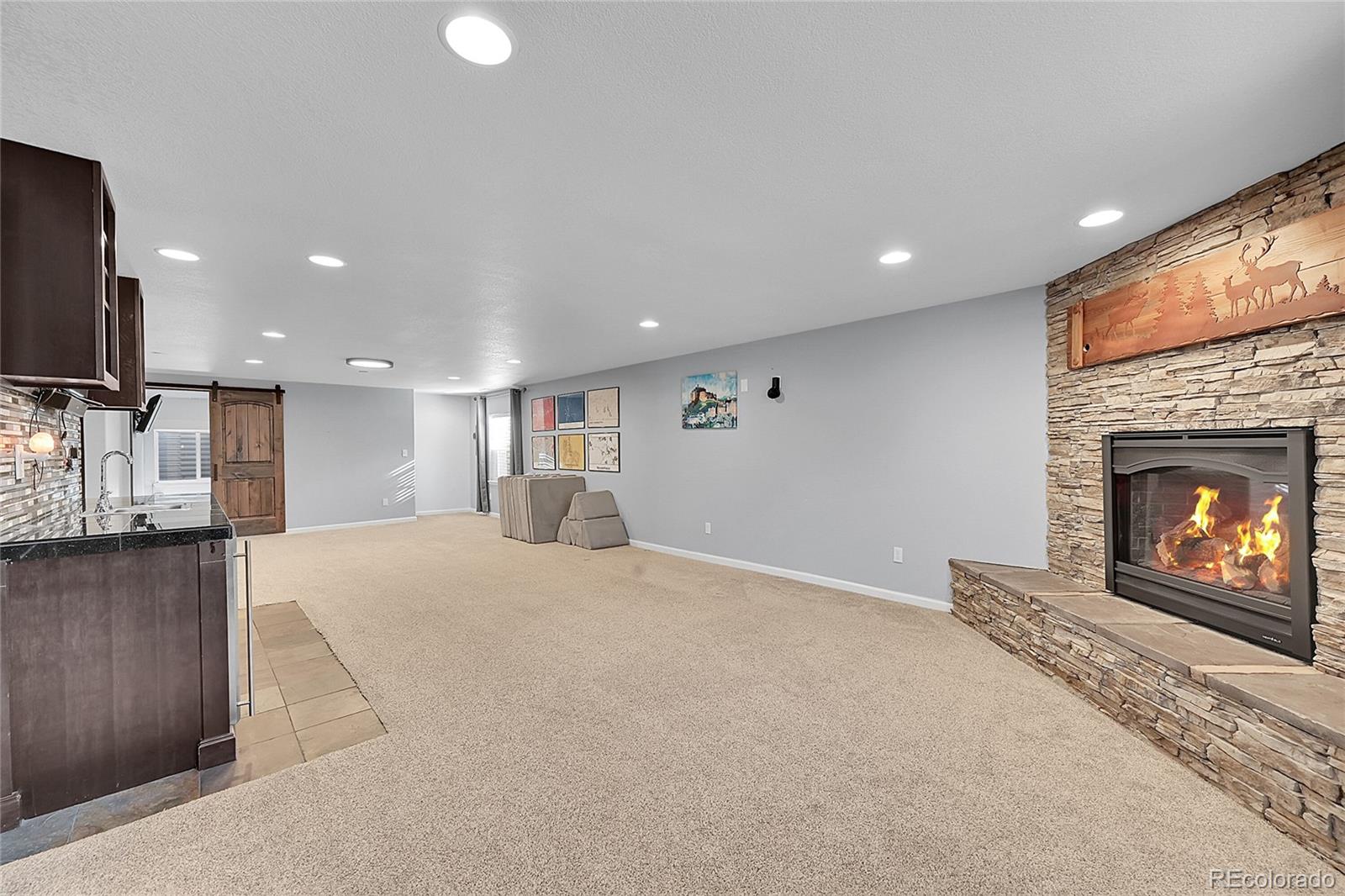 514 Coyote Willow Drive