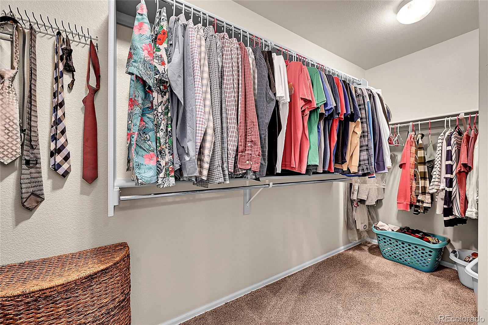 514 Coyote Willow Drive