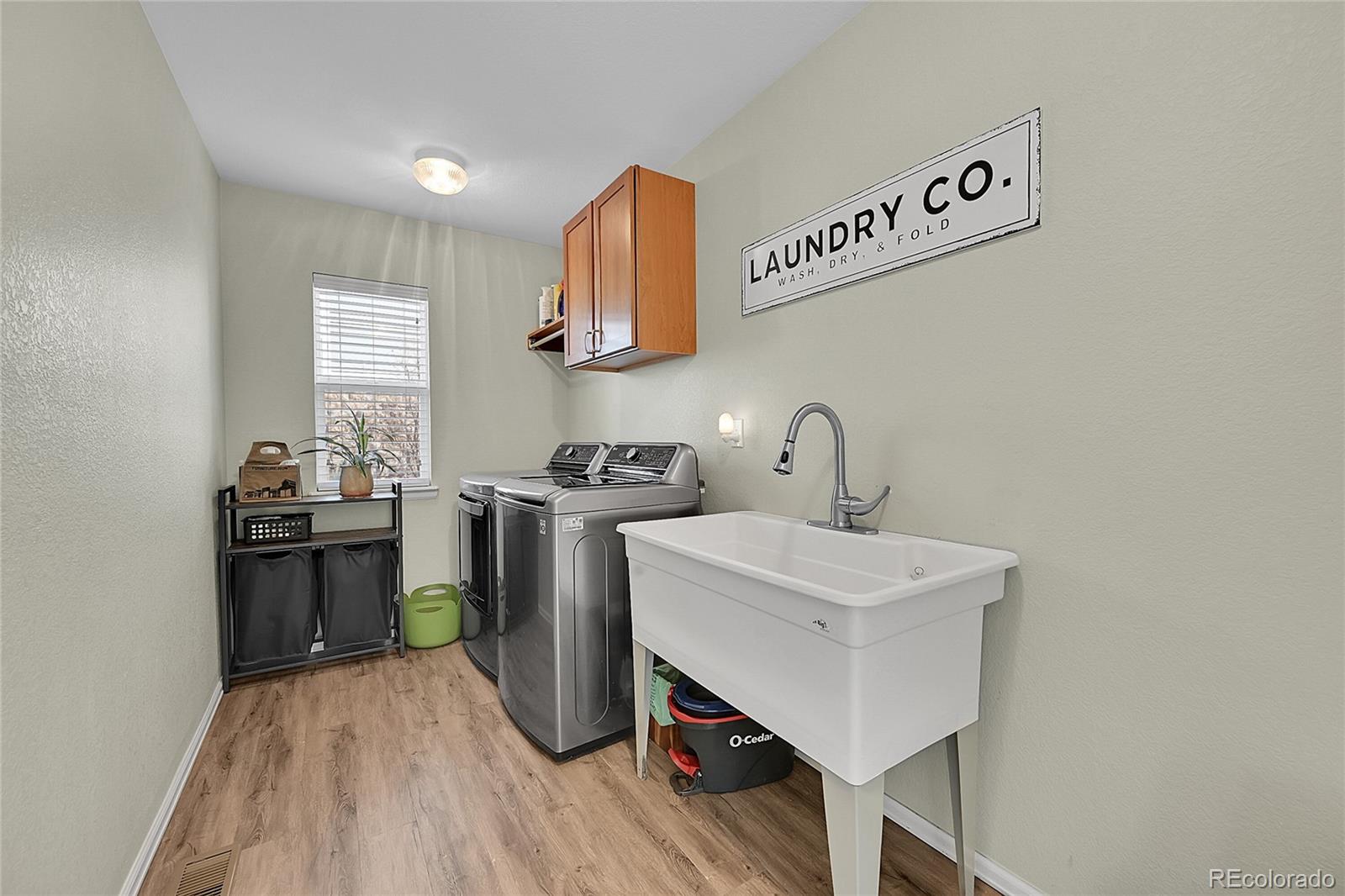 514 Coyote Willow Drive