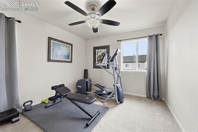 8191 Silver Birch Drive