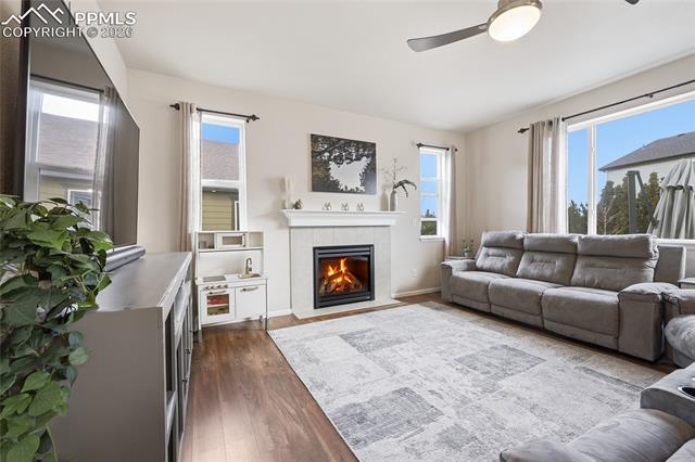 8191 Silver Birch Drive