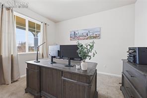 8191 Silver Birch Drive