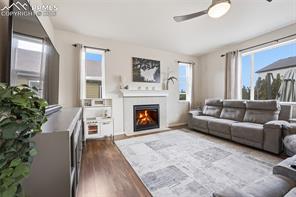 8191 Silver Birch Drive