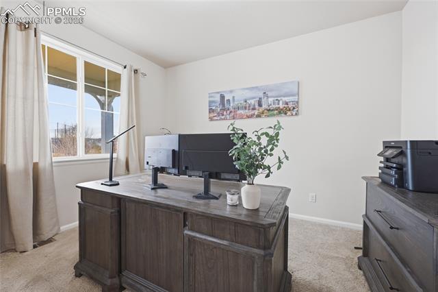 8191 Silver Birch Drive