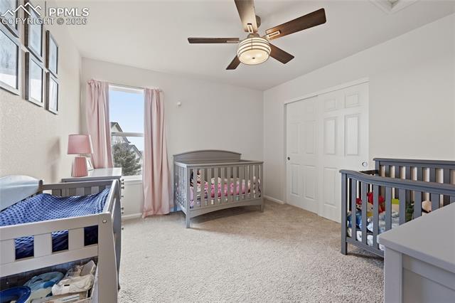 8191 Silver Birch Drive