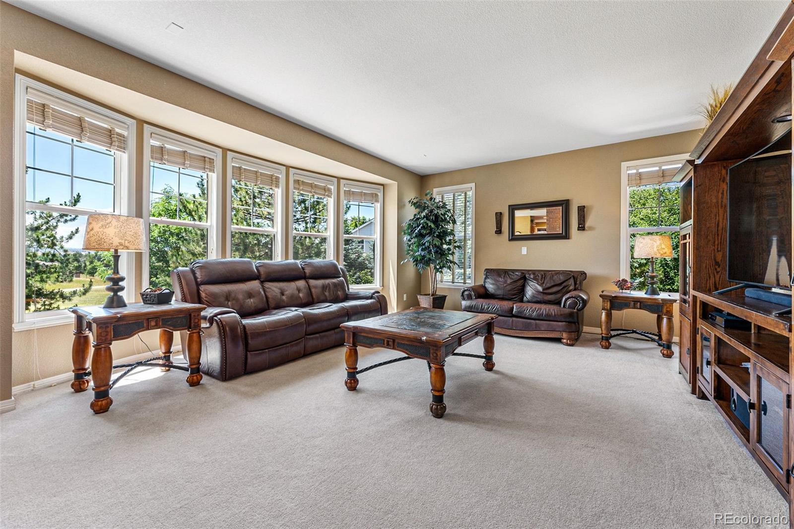 12581 S Robinson Ranch Court