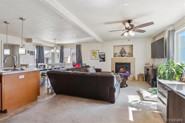 8492 Tejon Way