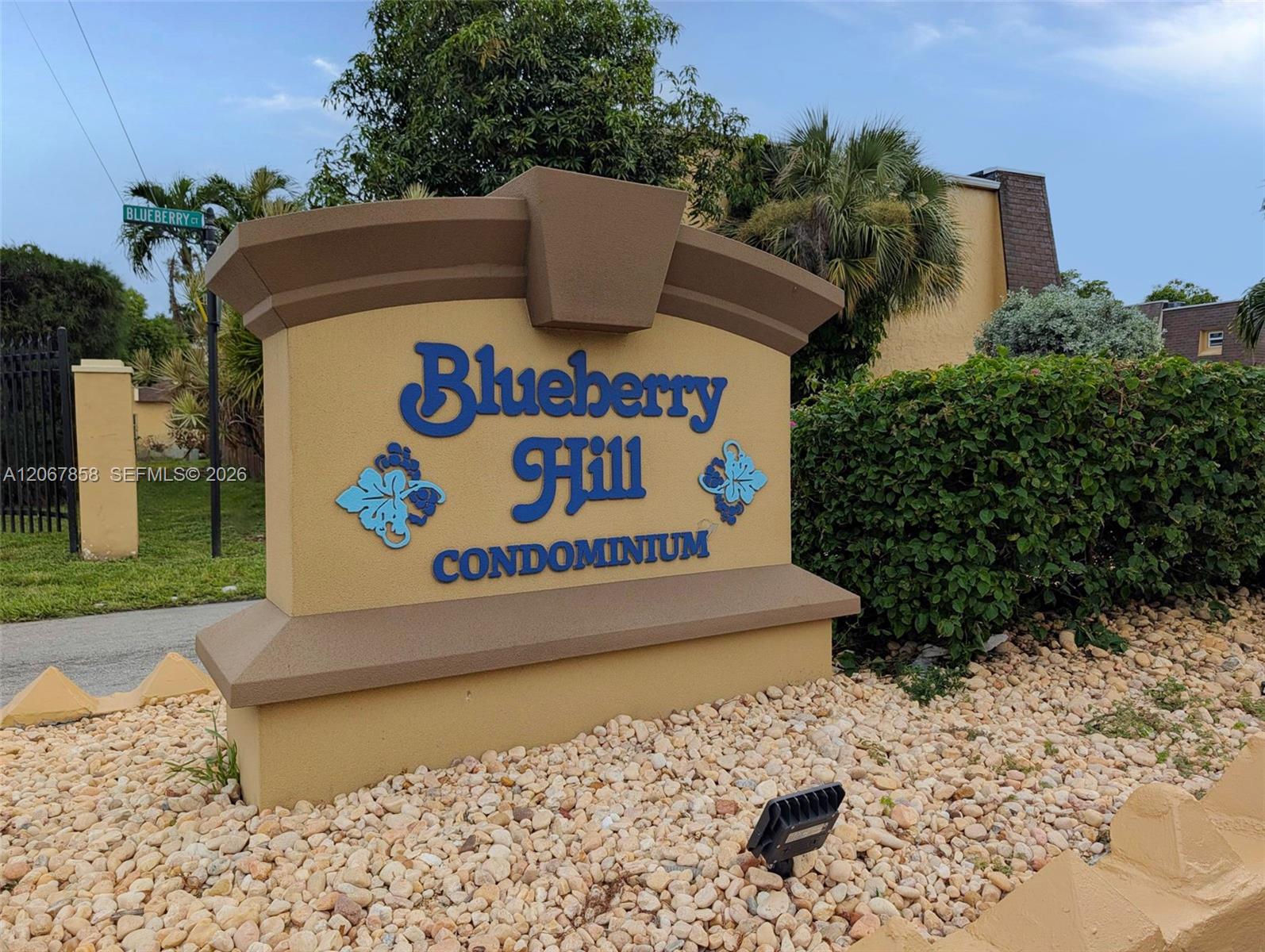 5664 Blueberry Ct # 15