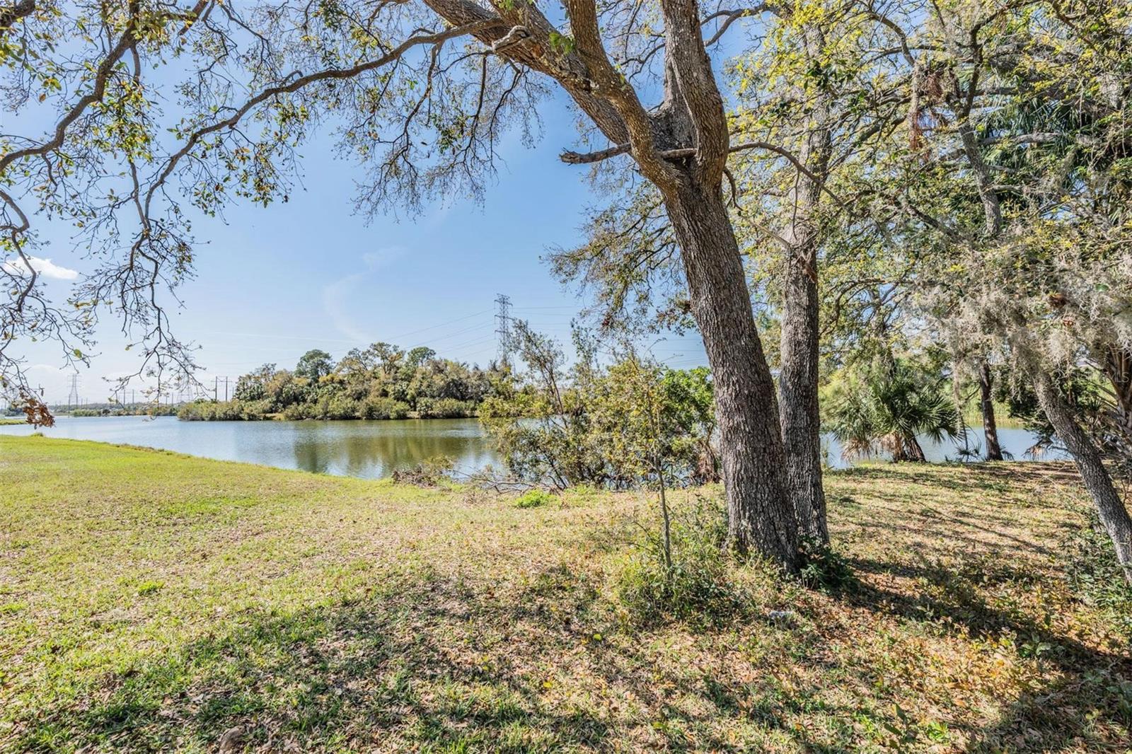 7147 FOREST MERE DR