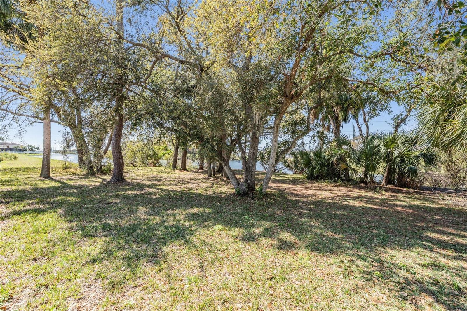 7147 FOREST MERE DR