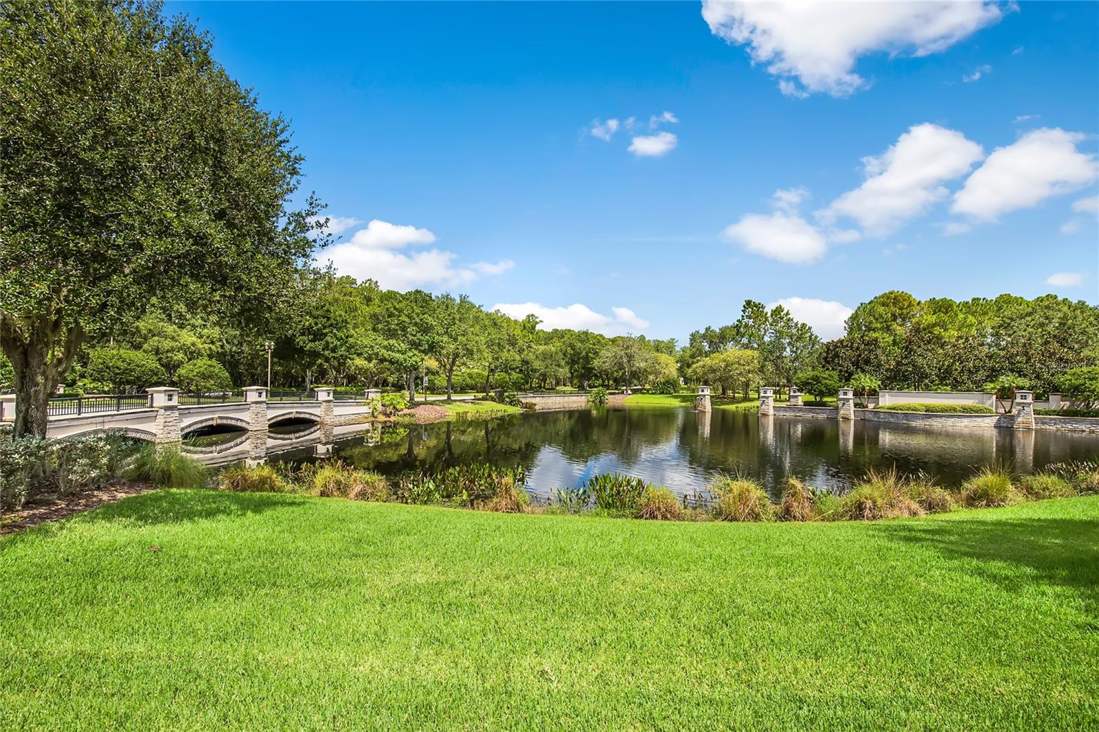 11918 MANDEVILLA CT