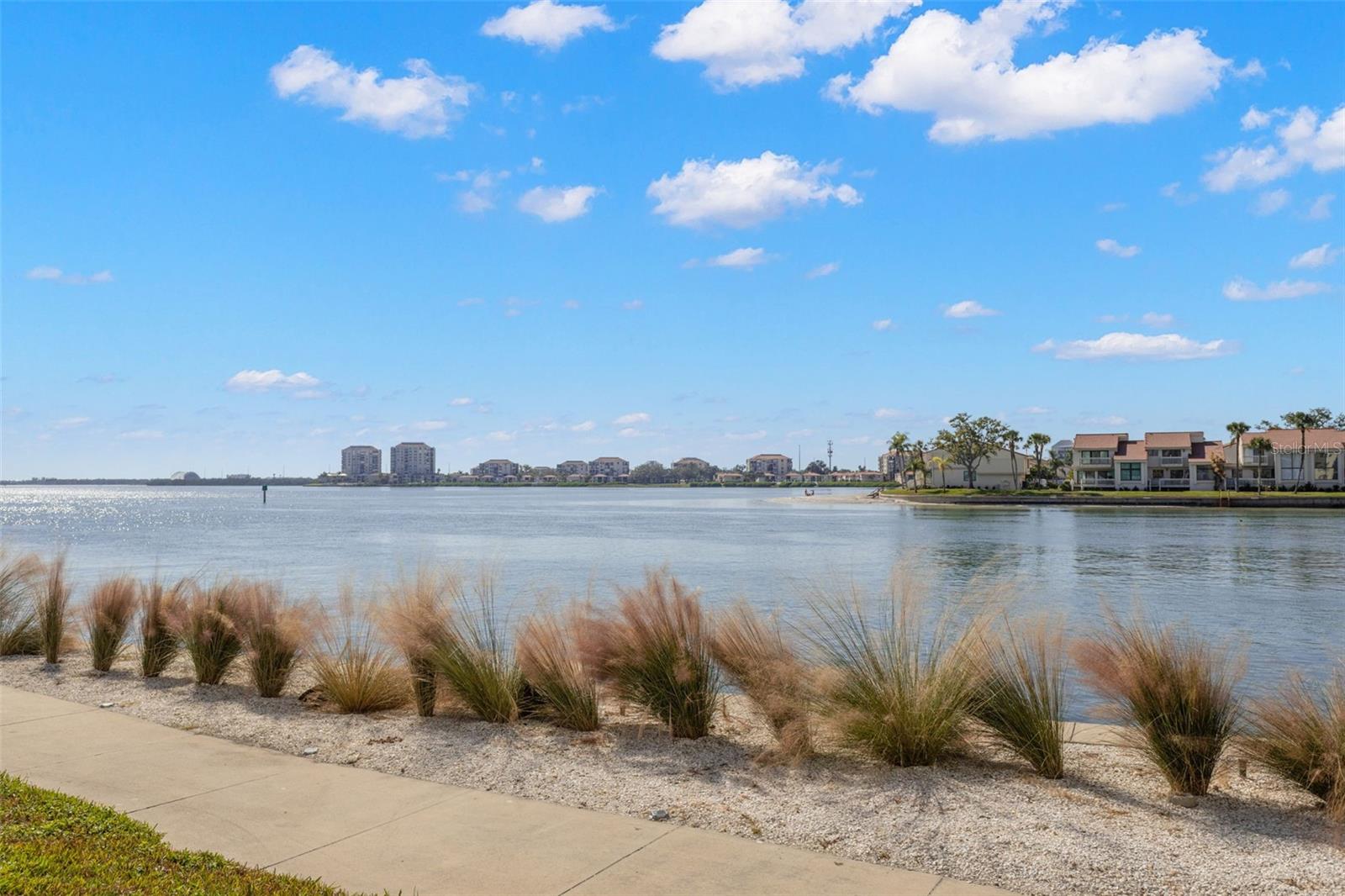 5220 BRITTANY DR S #1003