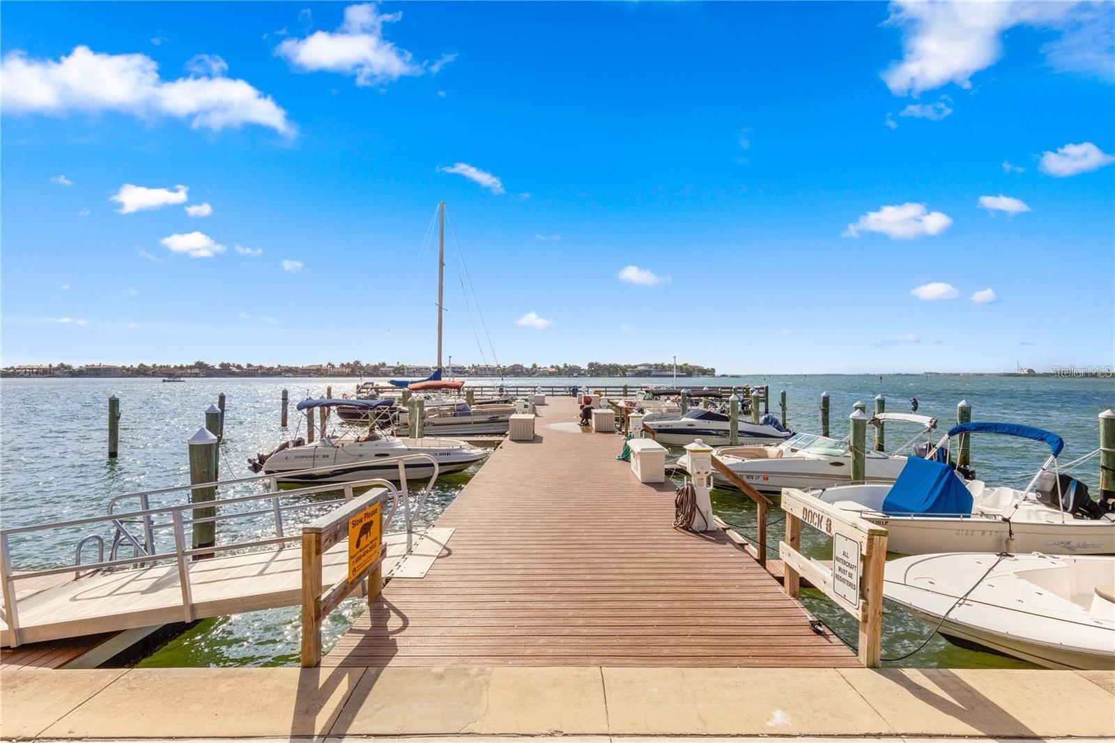 5220 BRITTANY DR S #1003