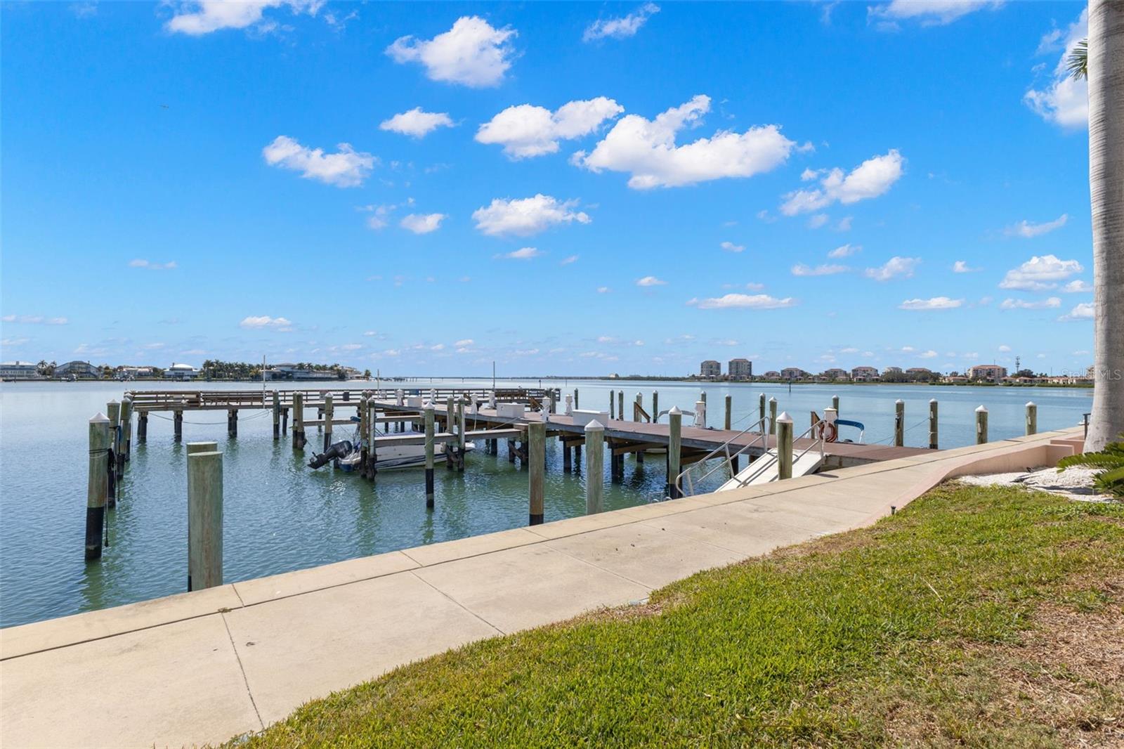 5220 BRITTANY DR S #1003