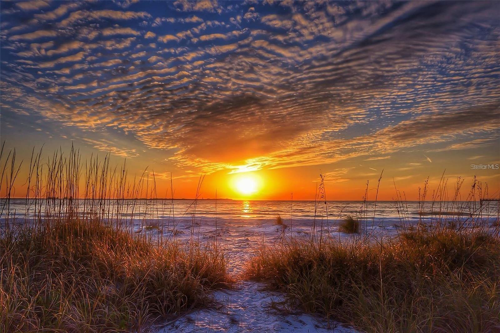 5220 BRITTANY DR S #1003