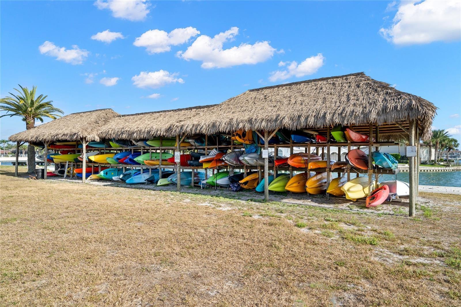 5220 BRITTANY DR S #1003