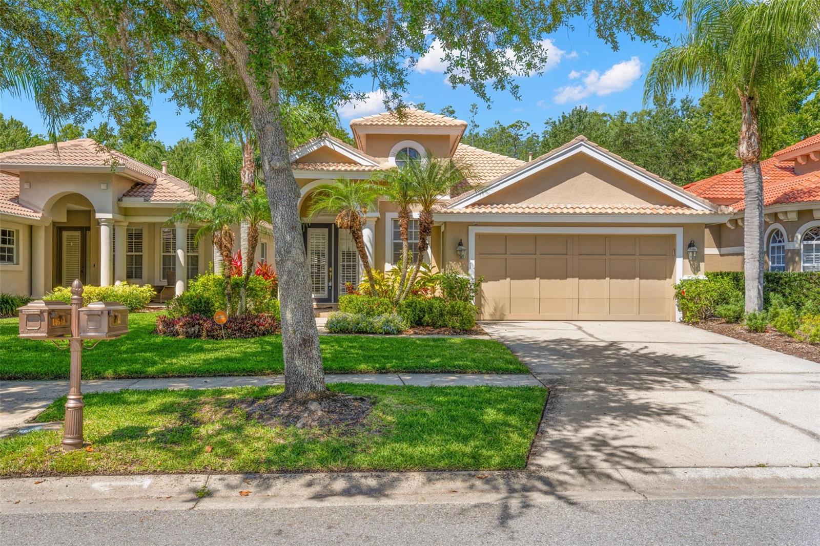 TAMPA