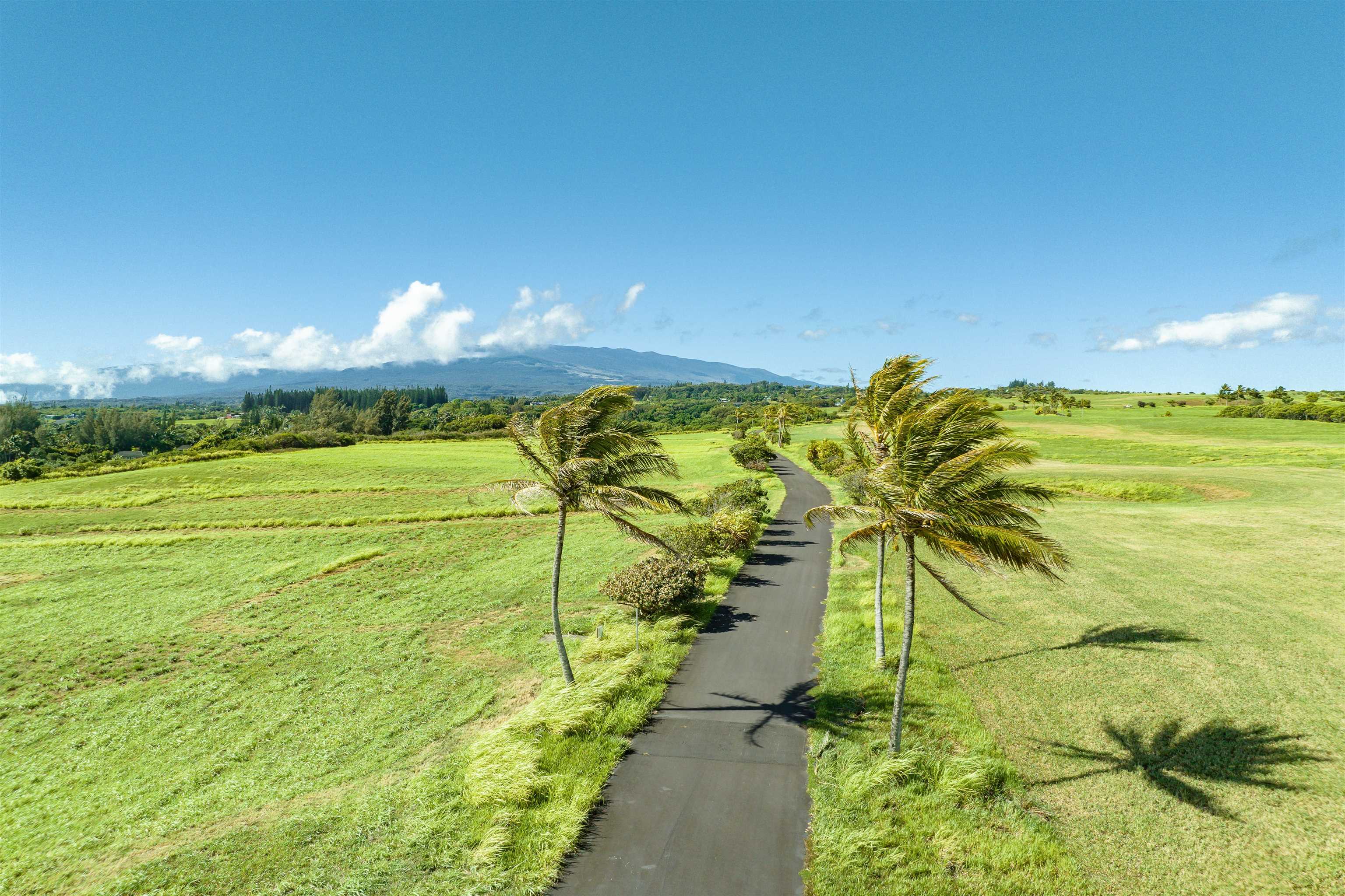 810 Kai Huki Cir Unit: Lot 6