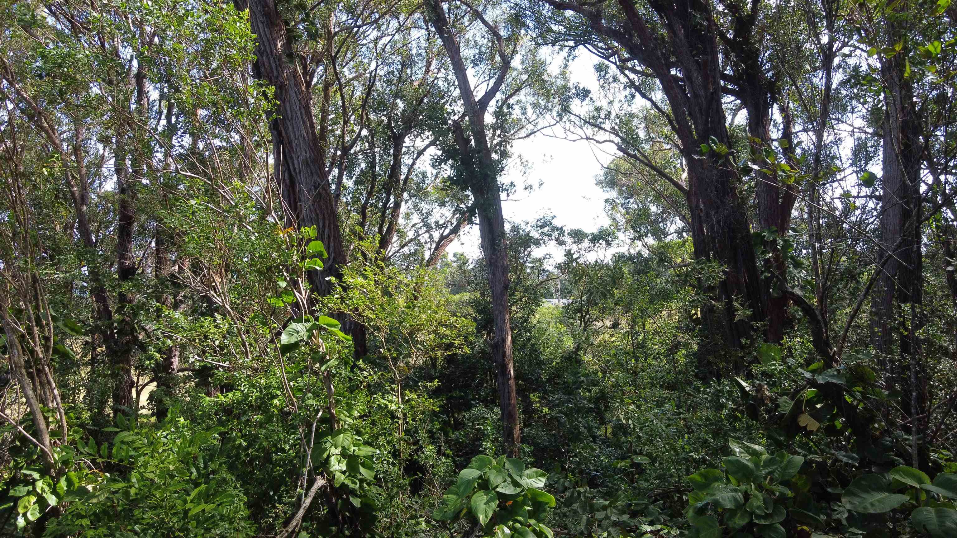 25 S Lanikai Pl Unit: Lot 8