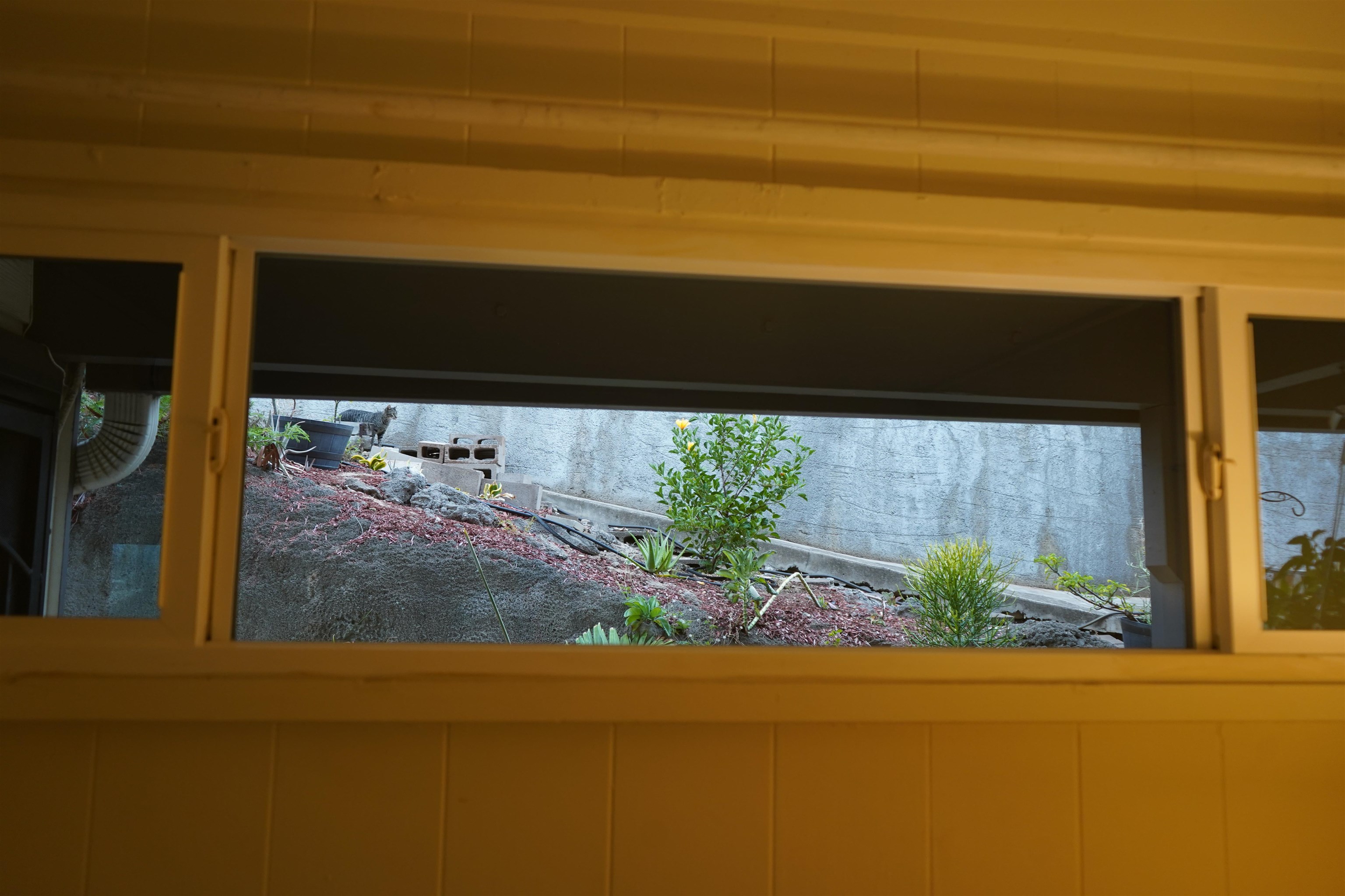 471 Liholiho St Unit: 13