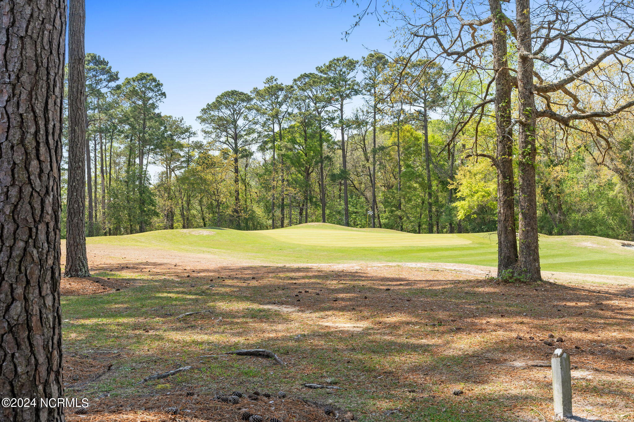 6696 Newpenny Lane SW