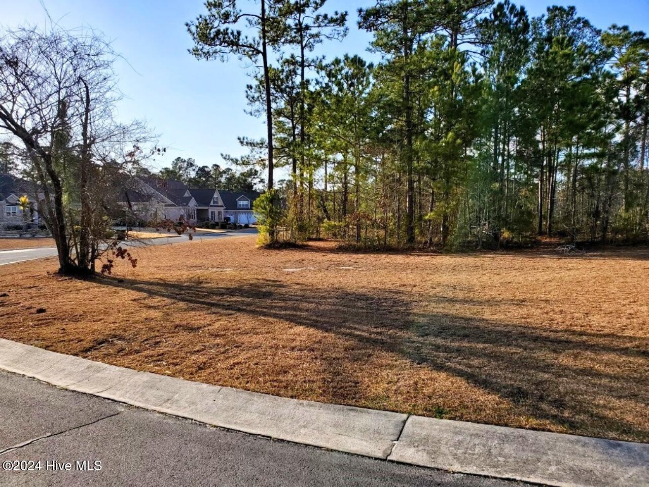 1162 119 Sabel Loop SE