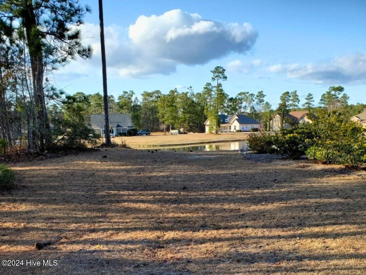 1162 119 Sabel Loop SE