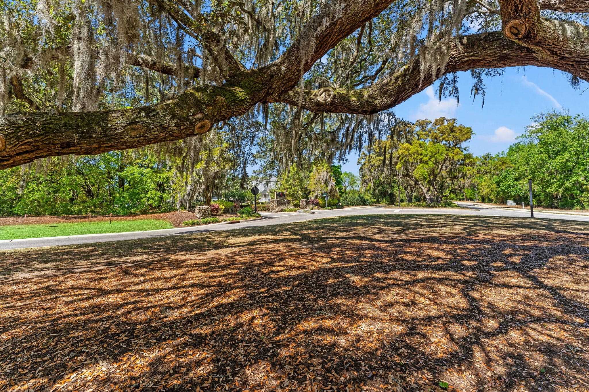 114 Scotch Broom Dr. Unit: M103