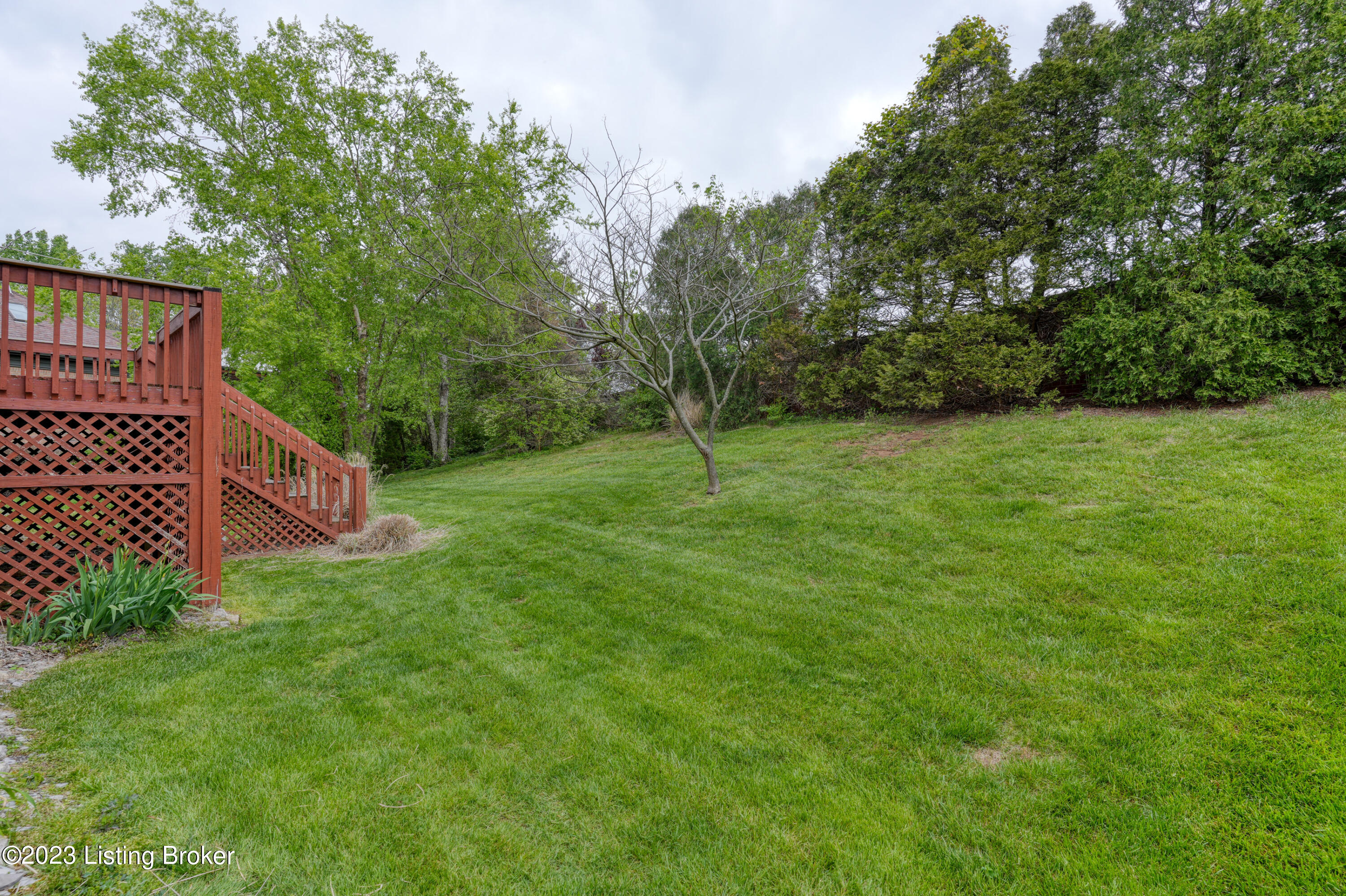 1113 Balmoral Dr
