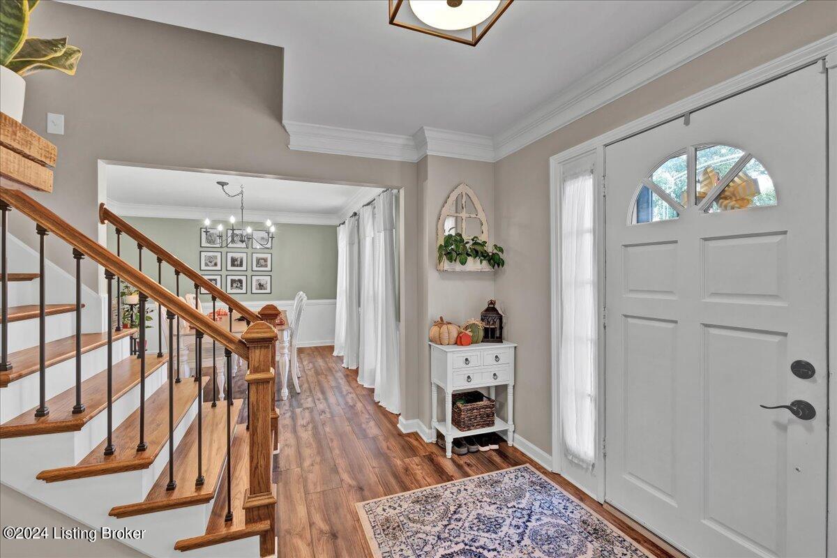 206 Stillwood Ct