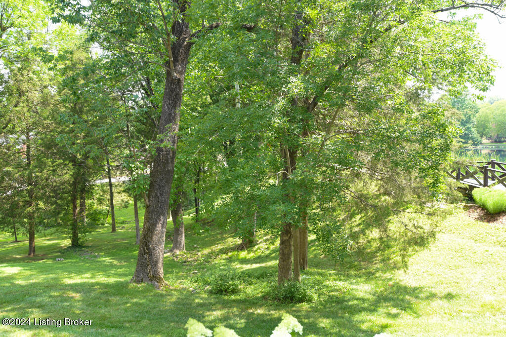 233 Buckland Trace