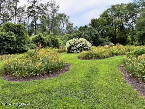 4401 Starlite Ln