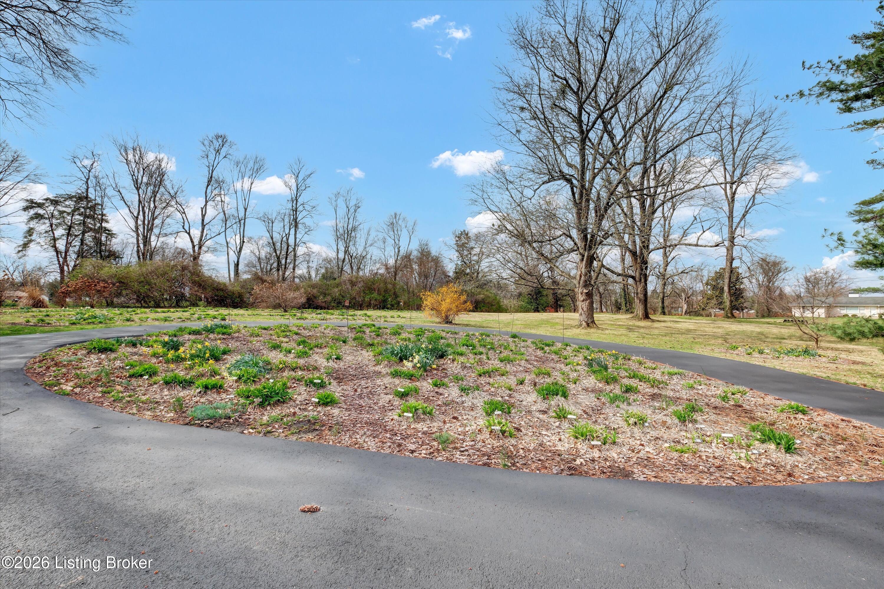 4401 Starlite Ln