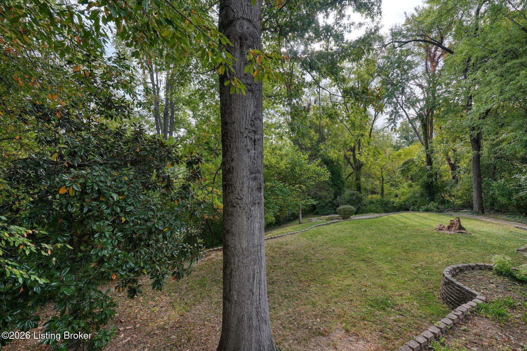 2509 Walbrook Dr