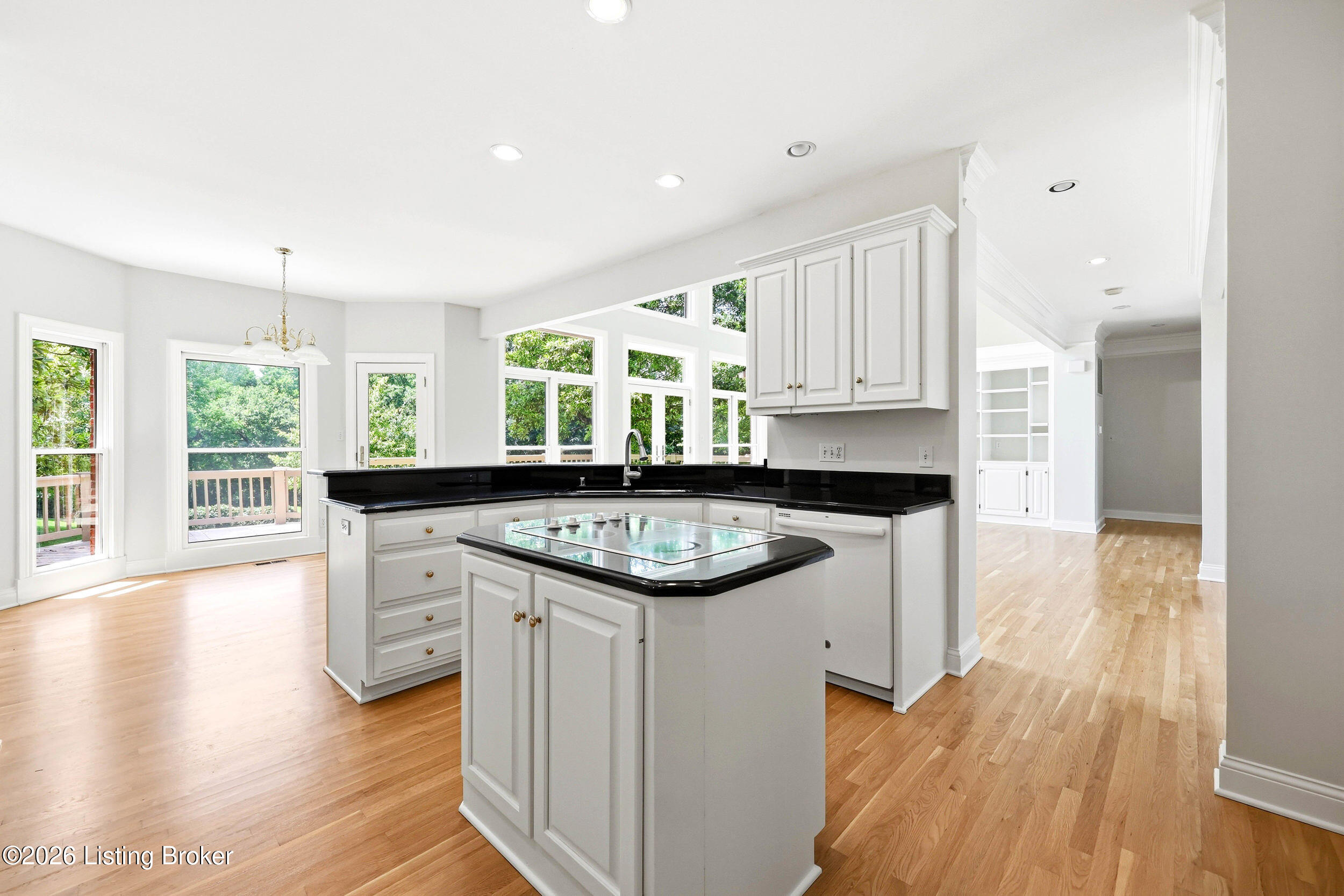 205 Sycamore Hills Ct