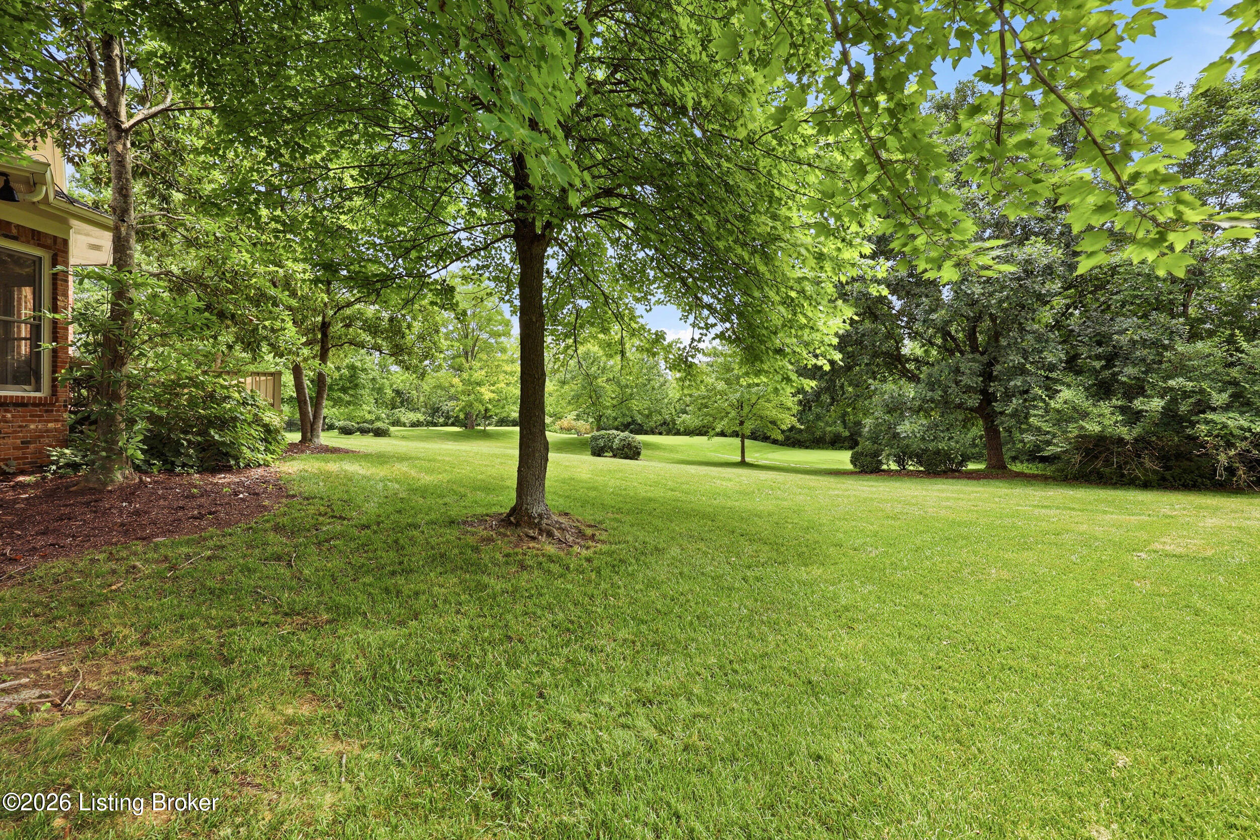 205 Sycamore Hills Ct