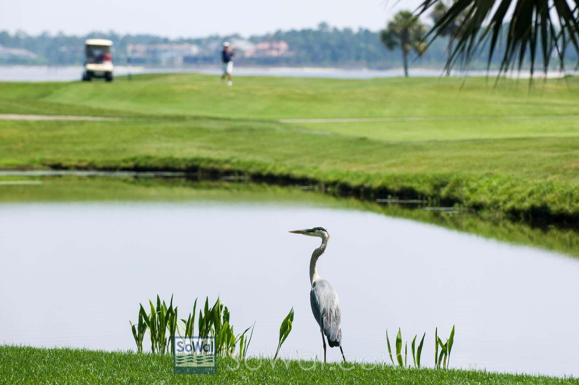 705 Sandpiper Drive # 010672