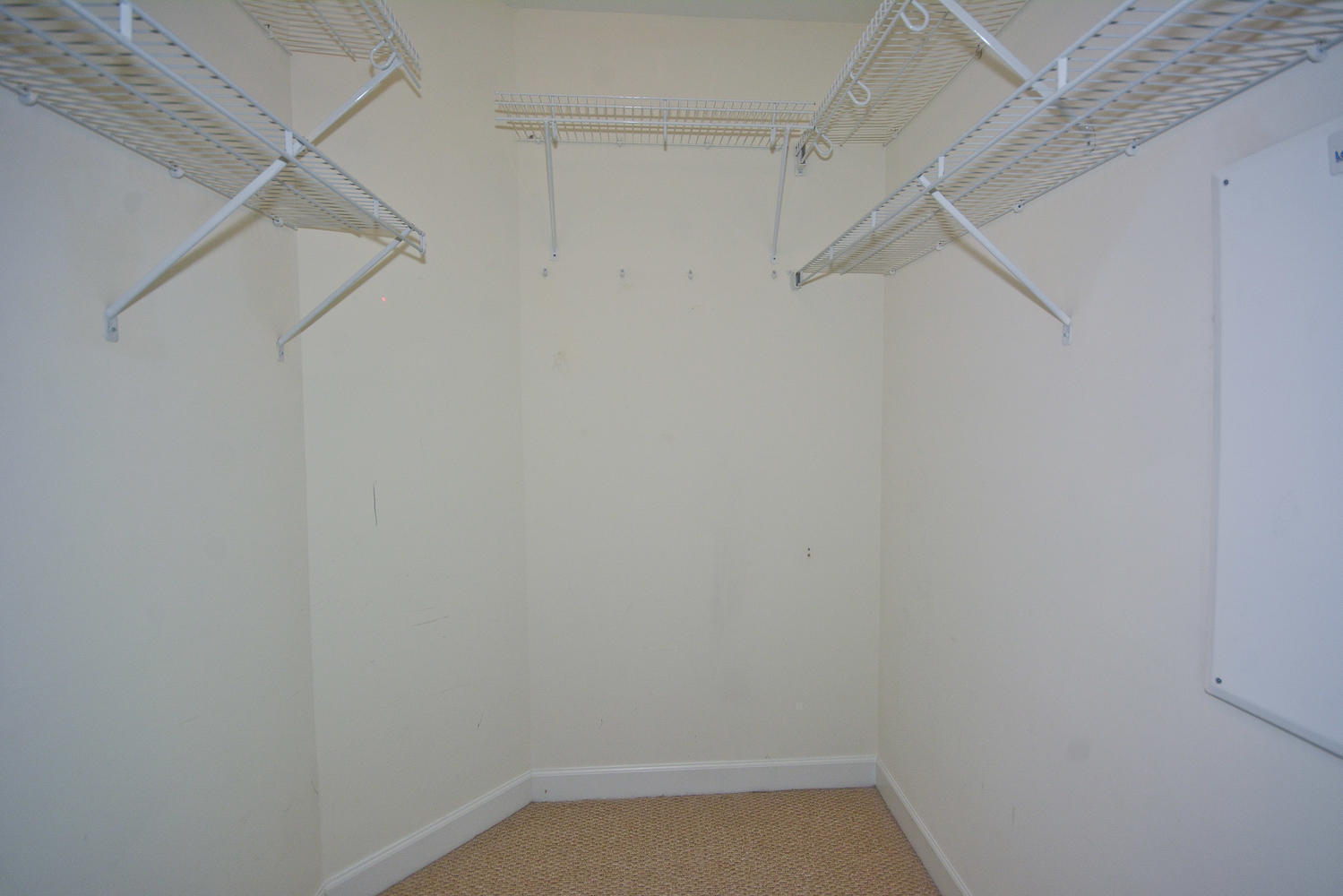 480 Hibiscus Street 841