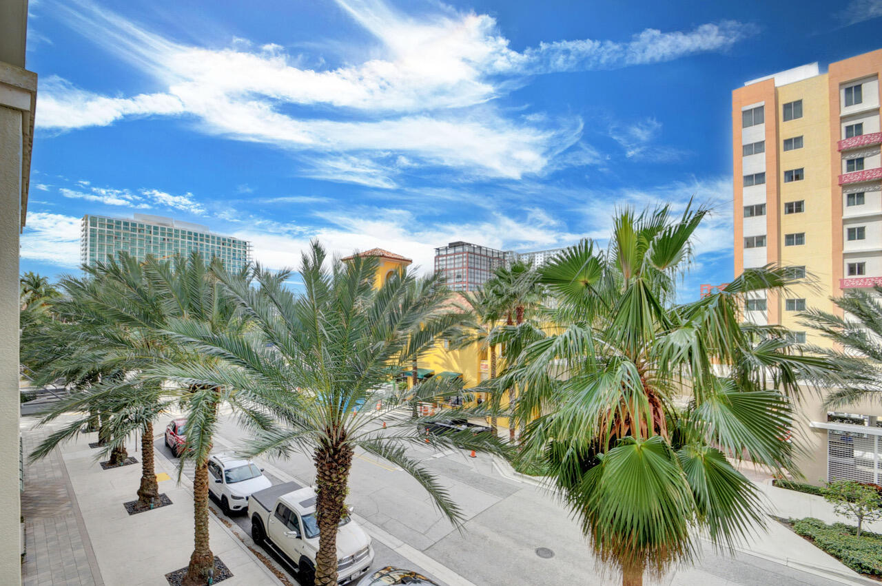 480 Hibiscus Street 203